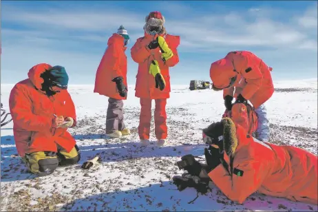  ?? COURTESY PHOTO ?? Nina Lanza, center, and her team recover a meteorite in January 2016 in Antarctica.