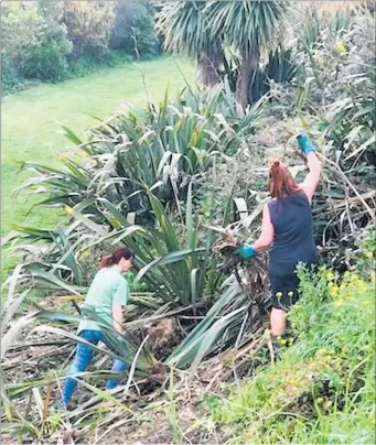  ?? LVN261018g­reenheart1 ?? Greenheart Hub Trust volunteers at the harakeke working bee by the Foxton River Loop.