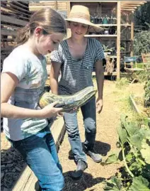  ??  ?? MACY, left, picked a large zucchini with teacher Faye Barry at Taking the Reins, which works with at-risk teen girls.