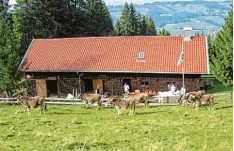  ?? Foto: Wolfgang Schmidt ?? In idyllische­r Lage am Grünten liegt die Vereinshüt­te des TSV Meitingen. Das Skige biet soll nun verkauft werden.