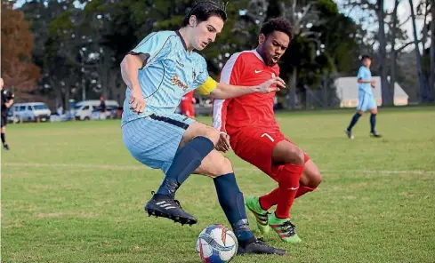  ?? DAVID JOSEPH/PHOTOTEK ?? Albany United’s home ground at Rosedale Park is in high demand for training and playing.