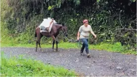  ?? JOSUÉ HERNÁNDEZ. ?? Turrialbeñ­os luchan por salvar sus productos .