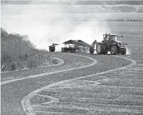  ?? RANDALL BENTON/SACRAMENTO BEE 2013 ?? Some farmers say they are wearying of President Trump’s on-again, off-again rhetoric, with its still-unfulfille­d promises of an imminent end to the conflict with Beijing.