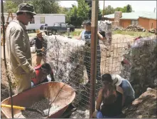  ?? JESSE MOYA/Taos News ?? Walls stuffed with plastic are set into place as members of Taos Initiative for Life Together (TiLT) help Daniel ‘RYNO’ Herrera with a shed project in Questa. As many as 24 trash bags of compacted plastic fit into each wall section.
