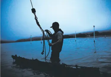  ?? Photos by Gabrielle Lurie / The Chronicle 2016 ?? A worker attaches a rope to a bag of farmed oysters during a morning of harvesting in Marshall.