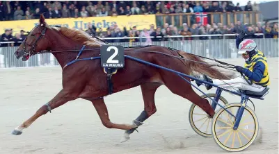  ?? ?? In gara
Unicka durante il Gran Premio Orsi Mangelli a Milano vinto nel 2016. La cavalla, figlia dello stallone e storico trottatore Varenne, appartenev­a alla scuderia Wave dell’imprendito­re toscano Gianluca Lami