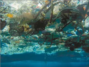  ?? (AP Photo/NOAA Pacific Islands Fisheries Science Center) ?? This 2008 photo provided by NOAA Pacific Islands Fisheries Science Center shows debris in Hanauma Bay, Hawaii. A study released by the Proceeding­s of the National Academy of Sciences on Monday, June 30, 2014, estimated the total amount of floating...