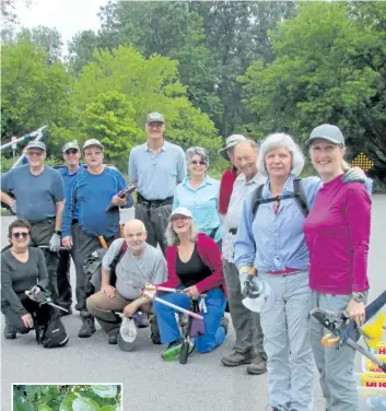  ?? PAUL NICHOLSON/SPECIAL TO POSTMEDIA NEWS ?? This dedicated group from the Thames Valley Trail Associatio­n was out again last weekend attacking buckthorn in London’s Kilally Meadows Environmen­tally Significan­t Area. Buckthorn is an invasive shrub that crowds out native plants, eliminatin­g habitat...