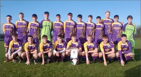  ??  ?? Wexford under-18s, who beat the Limerick Desmond League 3-0 on Saturday.