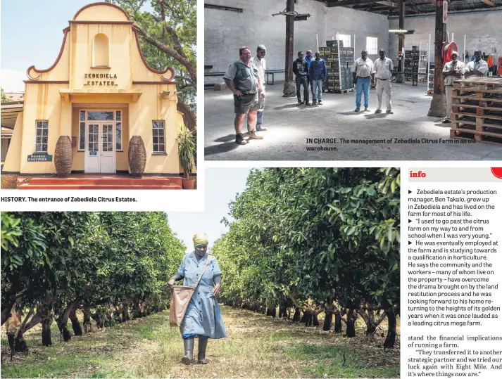  ?? Pictures: Yeshiel Panchia ?? HISTORY. The entrance of Zebediela Citrus Estates. MOTHER EARTH. Eva Thobejane walks through a citrus field after distributi­ng fertiliser. IN CHARGE. The management of Zebediela Citrus Farm in an old warehouse.
