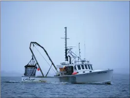  ?? ROBERT F. BUKATY — THE ASSOCIATED PRESS FILE ?? A scallop fishermen heads out at dawn day off Harpswell, Maine.