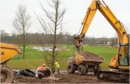  ??  ?? Some of the new trees being planted as part of the massive Adare project