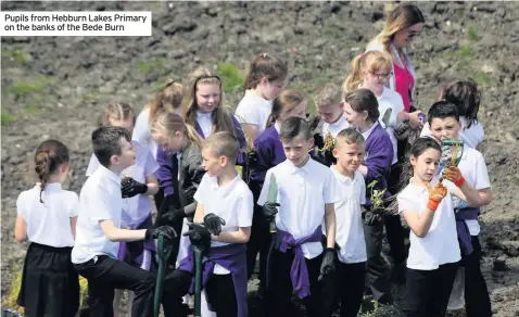  ??  ?? Pupils from Hebburn Lakes Primary on the banks of the Bede Burn