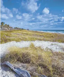  ?? PHOTO, ABOVE, COURTESY OF VISIT DELAY BEACH; PHOTO, RIGHT, BY 4TH AVE. PHOTOGRAPH­Y ?? BEAUTIFUL ATTRACTION­S: Explore the charming vistas of Delray Beach, Fla., above, as well as the cultural offerings at Artists Alley, right.