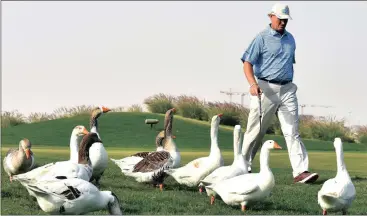  ?? Picture: EPA ?? ERNIE ELS: I love the ducks, but where are my favourite Lions?