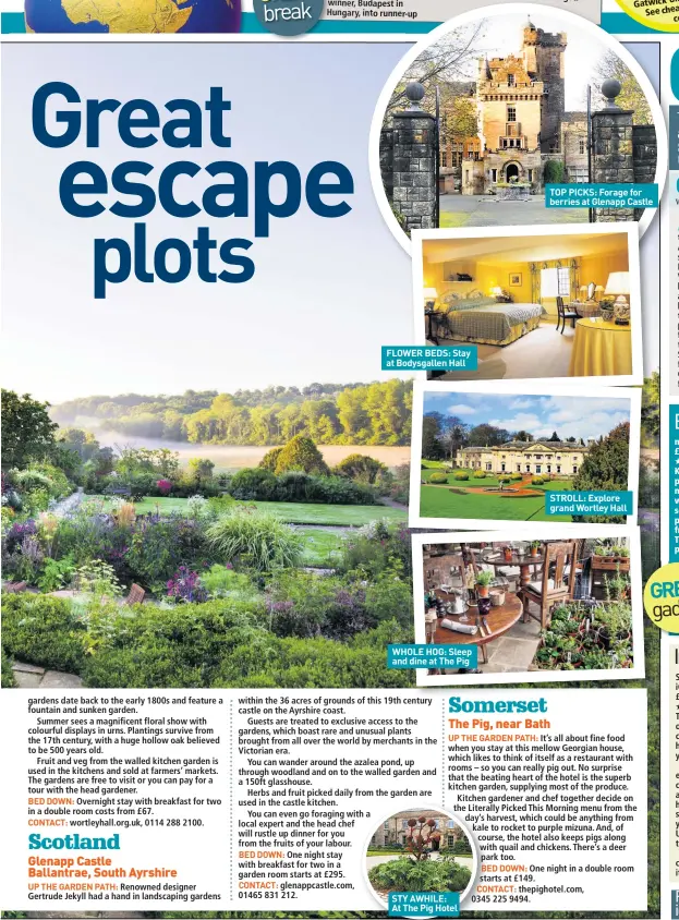  ??  ?? FLOWER BEDS: Stay at Bodysgalle­n Hall WHOLE HOG: Sleep and dine at The Pig STY AWHILE: At The Pig Hotel TOP PICKS: Forage for berries at Glenapp Castle STROLL: Explore grand Wortley Hall