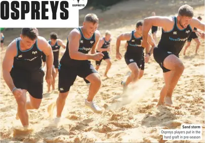  ??  ?? Sand storm Ospreys players put in thehard graft in pre-season