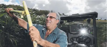  ?? Picture: PETER WALLIS ?? Queensland Cane Growers chairman Paul Schembri on his farm north of Mackay.