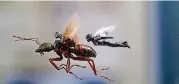  ?? [DISNEY/MARVEL STUDIOS VIA AP] ?? This image released by Marvel Studios shows a scene from “Ant-Man and the Wasp.”