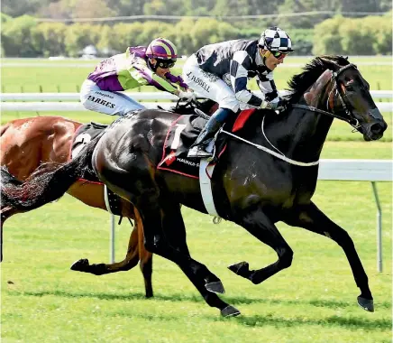  ?? PHOTO: RACE IMAGES ?? Kawi and jockey Jason Waddell take out the Haunui Farm Classic.