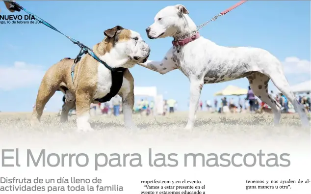  ??  ?? EL AÑO pasado asistieron sobre 15,000 personas, siendo uno de los eventos favoritos para compartir con mascotas y promover una mejor convivenci­a con los animales.