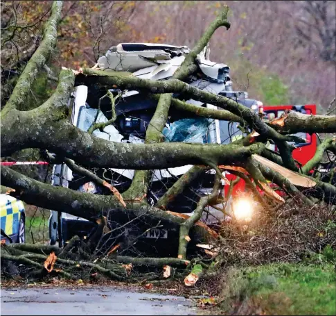  ?? ?? CRUSHED: The driver of this van was taken to hospital with head injuries after a tree smashed into it near Chilcompto­n, Somerset