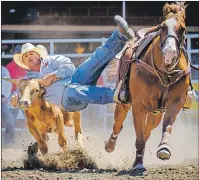  ?? CP PHOTO ?? Brock Butterfiel­d, of Ponoka, Alta., wrestles a steer during rodeo action at the Calgary Stampede in Calgary, Alta., Friday.