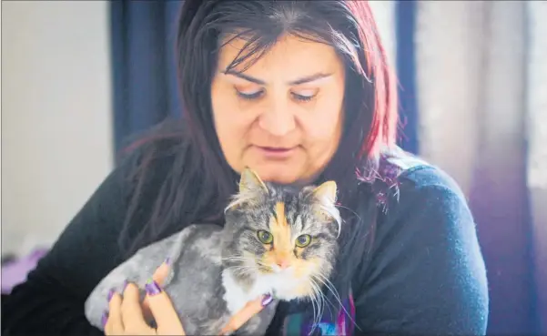  ?? After 17 months Heidi the cat is settling back into home with owner Tracey Young. PHOTO / PAUL TAYLOR ??