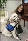  ?? ?? Nutmeg, an 11-month-old Goldendood­le comfort dog acquired by the Montgomery Child Advocacy Project, meets county President Judge Carolyn Tornetta Carluccio.