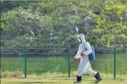  ?? VIPIN KUMAR/HT ?? A worker fumigates the Delhi Zoo on Saturday. Both the zoo and the Hauz Khas deer park will remain shut.