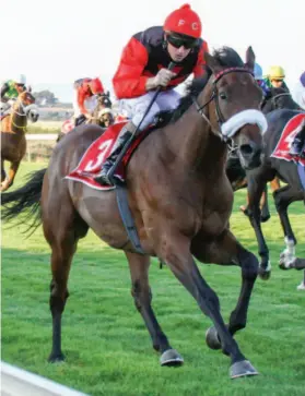  ?? Picture: Gold Circle ?? HOT FAVOURITE. African Night Sky has shortened to 18-10 to win the R4.25-million Vodacom Durban July over 2200m at Greyville on Saturday 7 July following his victory in last Saturday’s Grade 3 Cup Trial over 1800m at Greyville.