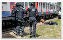  ?? JACK BOSKETT/ RAIL. ?? A British Transport Police collaborat­ive demonstrat­ion between firearms and dogs units. PD Astra demonstrat­es taking down a suspect.