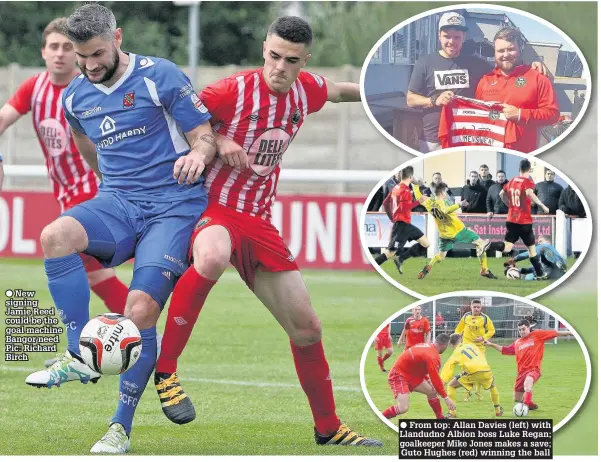  ??  ?? ● New signing Jamie Reed could be the goal machine Bangor need Pic: Richard Birch ● From top: Allan Davies (left) with Llandudno Albion boss Luke Regan; goalkeeper Mike Jones makes a save; Guto Hughes (red) winning the ball