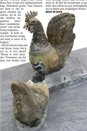 ?? FOTO FLORIAN VAN EENOO ?? De nieuwe kop (boven) ziet er een tikje anders uit dan het oorspronke­lijke bronzen exemplaar dat de kunstenaar op de andere kip had gezet.