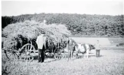  ?? Fotos (2): Stadt Nieheim ??