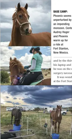  ??  ?? BIG SKY: Phoenix (right) and Jazz relaxing in camp at Fort Stanton, before the endurance ride begins. BASE Phoenix unperturbe­d CAMP: seems by an impending monsoon. Center: Audrey Hager and Phoenix warm up for a ride atFort Stanton, New Mexico.