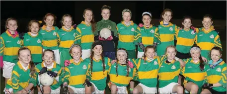  ??  ?? The Gaelscoil Loch Garman squad before their final defeat.