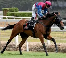  ?? PHOTO: TRISH DUNELL ?? Lizzie L’Amour repeated her victory of a year ago in the Cal Isuzu Stakes at Te Rapa on Saturday.