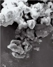  ??  ?? An electron microscope image of titanium
white from Incan qeros.