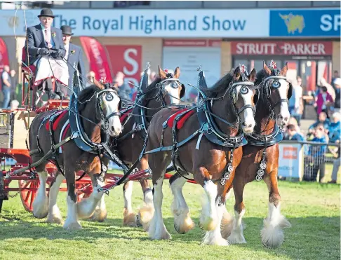  ?? ?? CONTEST: Events were streamed online this year and it is hoped the 2022 show will take place as usual at Ingliston.