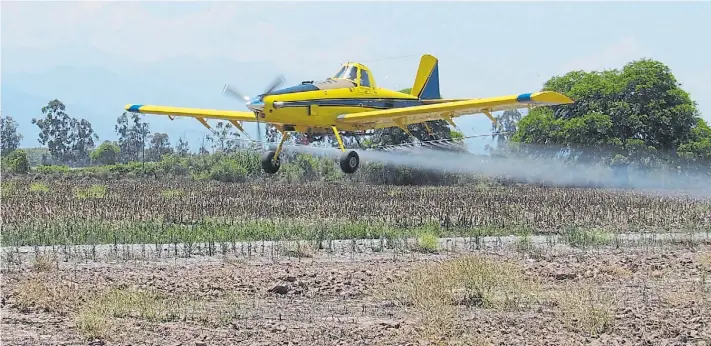  ??  ?? La aplicación aérea fue una de las demostraci­ones que se hicieron en el INTA Cerrillos, Salta. Hubo tarjeteo con distintas pastillas para saber calidad de aplicación y deriva. Al ras.