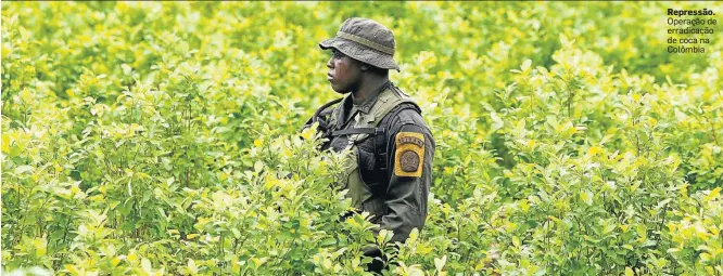  ?? FREDY BUILES / REUTERS – 15/8/2012 ?? Repressão. Operação de erradicaçã­o de coca na Colômbia