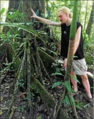  ?? JANET PODOLAK — THE NEWS-HERALD ?? Our guide shows how a walking palm sprouts younger trees that appear to walk.