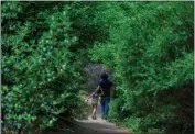  ?? ?? A family enjoys a hike on the scenic Sequoia Trail.