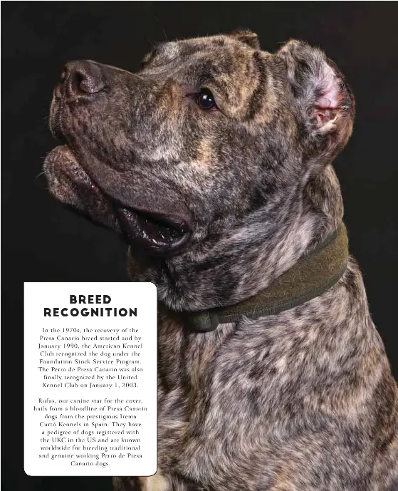 Breed Recognition Pressreader