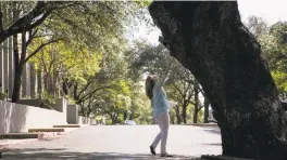  ?? ILANA PANICH-LINSMAN THE WASHINGTON POST ?? Karen Sironi, 63, reaches out to touch Waylon, a large oak tree in the middle of an Austin, Texas, parking lot. Tree activists are fighting to protect old oak trees slated to be cut down in the city.