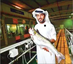  ?? GIUSEPPE CACACE/AFP ?? Bader bin Mubarak, chief executive of Fish Farm, holds a salmon at his facility in Dubai.