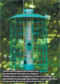  ??  ?? Les écureuils apprécient beaucoup les semences fournies aux oiseaux.
Utilisez donc une mangeoire munie d’un grillage permettant le passage des oiseaux, mais empêchant les écureuils d’avoir accès à la nourriture.