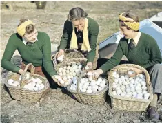  ??  ?? Keep calm and crack on: Land Girls check eggs on a poultry farm in Surrey, 1944