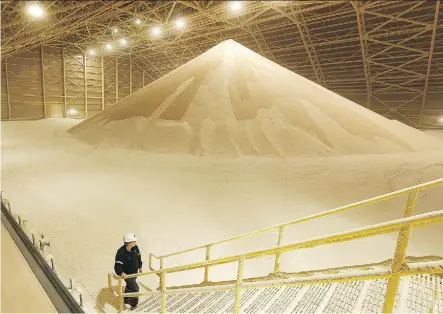  ?? POTASH CORP. ?? In response to plummeting prices, PotashCorp shifted production toward its new Rocanville mine, near Yorkton, Sask., which resulted in 560 job cuts. The potash producer’s first-quarter performanc­e is seen by one analyst as suggesting the potash recovery is in “full force.”